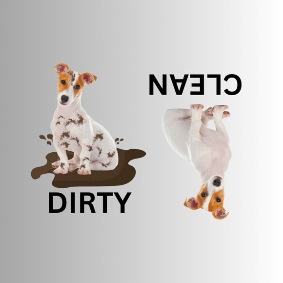 JACK RUSSELL TERRIER Clean Dirty Dishwasher Flexible Magnet - Picture 1 of 1